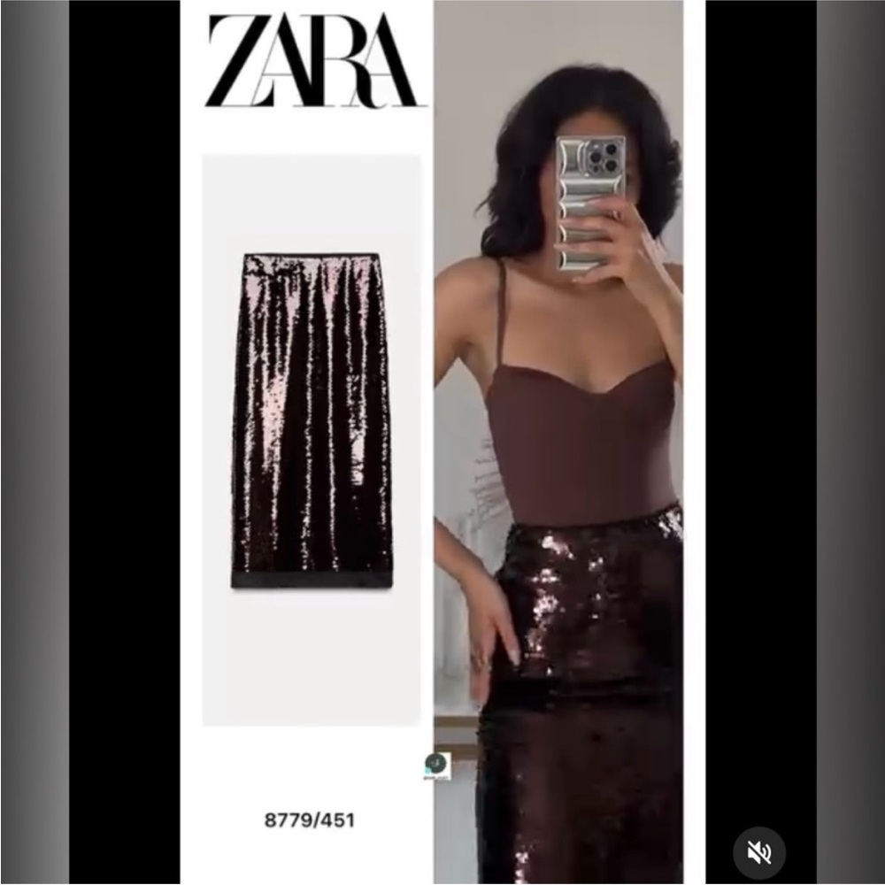 ZARA Bloggers Fav Sequined Midi Skirt
